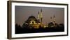 Turkey Mosque at Night-Art Wolfe-Framed Photographic Print