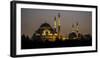 Turkey Mosque at Night-Art Wolfe-Framed Photographic Print