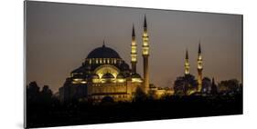 Turkey Mosque at Night-Art Wolfe-Mounted Photographic Print