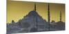 Turkey Mosque at Sunset-Art Wolfe-Mounted Photographic Print