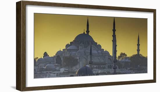 Turkey Mosque at Sunset-Art Wolfe-Framed Photographic Print