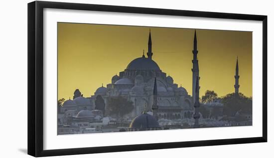 Turkey Mosque at Sunset-Art Wolfe-Framed Photographic Print