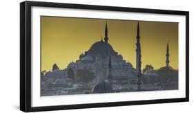 Turkey Mosque at Sunset-Art Wolfe-Framed Photographic Print