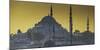 Turkey Mosque at Sunset-Art Wolfe-Mounted Photographic Print