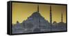 Turkey Mosque at Sunset-Art Wolfe-Framed Stretched Canvas