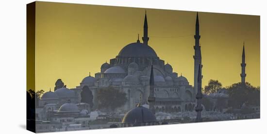 Turkey Mosque at Sunset-Art Wolfe-Stretched Canvas