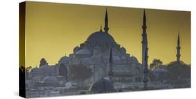 Turkey Mosque at Sunset-Art Wolfe-Stretched Canvas