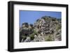 Turkey, Myra, Lycian Tombs-Samuel Magal-Framed Photographic Print