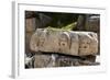 Turkey, Myra, Theater, Relief, Greek Masks-Samuel Magal-Framed Photographic Print