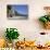 Turkey, Olympus, The Beach-Samuel Magal-Stretched Canvas displayed on a wall