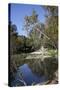 Turkey, Olympus, View of Ruins in the River-Samuel Magal-Stretched Canvas