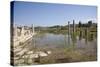 Turkey, Patara, Colonnade Street-Samuel Magal-Stretched Canvas