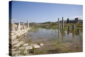 Turkey, Patara, Colonnade Street-Samuel Magal-Stretched Canvas