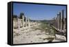 Turkey, Patara, Colonnade Street-Samuel Magal-Framed Stretched Canvas