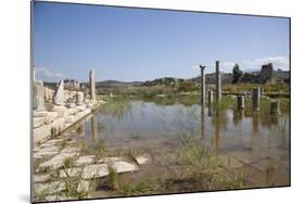 Turkey, Patara, Colonnade Street-Samuel Magal-Mounted Photographic Print