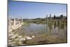 Turkey, Patara, Colonnade Street-Samuel Magal-Mounted Photographic Print