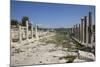 Turkey, Patara, Colonnade Street-Samuel Magal-Mounted Photographic Print