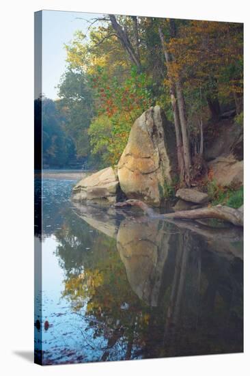 Turkey Run State Park, Indiana, USA-Anna Miller-Stretched Canvas