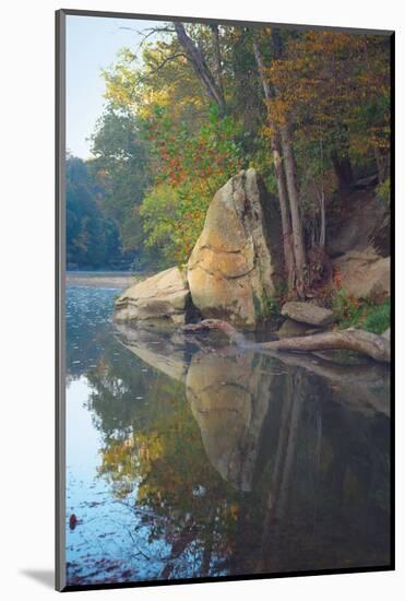 Turkey Run State Park, Indiana, USA-Anna Miller-Mounted Photographic Print