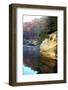 Turkey Run State Park, Indiana, USA-Anna Miller-Framed Photographic Print