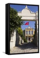 Turkey, Safranbolu. Government Building with Red Turkish Flag Flying-Emily Wilson-Framed Stretched Canvas