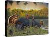 Turkey Season-Don Engler-Stretched Canvas