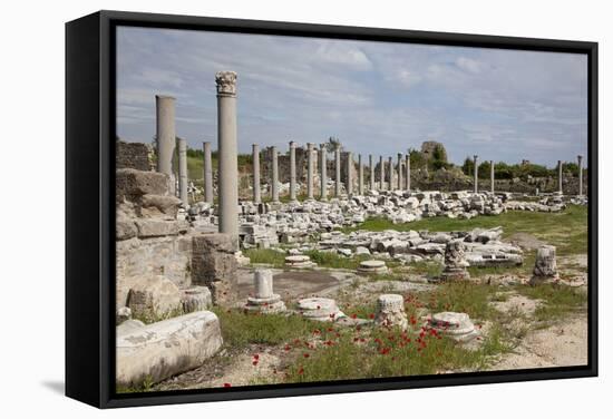 Turkey, Side, Agora, Colonnade Courtyard-Samuel Magal-Framed Stretched Canvas