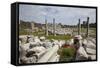 Turkey, Side, Agora, Colonnade Courtyard-Samuel Magal-Framed Stretched Canvas