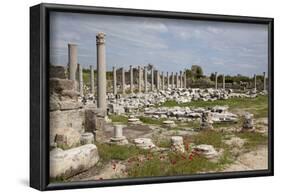 Turkey, Side, Agora, Colonnade Courtyard-Samuel Magal-Framed Photographic Print