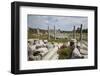 Turkey, Side, Agora, Colonnade Courtyard-Samuel Magal-Framed Photographic Print