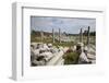 Turkey, Side, Agora, Colonnade Courtyard-Samuel Magal-Framed Photographic Print