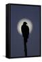 Turkey Vulture (Cathartes aura) silhouetted at dawn, with moon in background, Florida, USA-Edward Myles-Framed Stretched Canvas