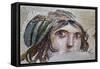 Turkey, Zeugma,House of the Gypsy Girl, Mosaic-null-Framed Stretched Canvas