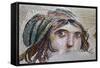 Turkey, Zeugma,House of the Gypsy Girl, Mosaic-null-Framed Stretched Canvas