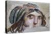 Turkey, Zeugma,House of the Gypsy Girl, Mosaic-null-Stretched Canvas