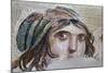 Turkey, Zeugma,House of the Gypsy Girl, Mosaic-null-Mounted Photographic Print