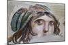 Turkey, Zeugma,House of the Gypsy Girl, Mosaic-null-Mounted Photographic Print