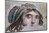 Turkey, Zeugma,House of the Gypsy Girl, Mosaic-null-Mounted Photographic Print