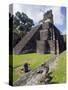 Turkeys at a Pyramid in the Mayan Ruins of Tikal, UNESCO World Heritage Site, Guatemala-Christian Kober-Stretched Canvas