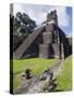 Turkeys at a Pyramid in the Mayan Ruins of Tikal, UNESCO World Heritage Site, Guatemala-Christian Kober-Stretched Canvas