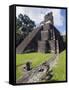 Turkeys at a Pyramid in the Mayan Ruins of Tikal, UNESCO World Heritage Site, Guatemala-Christian Kober-Framed Stretched Canvas