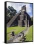 Turkeys at a Pyramid in the Mayan Ruins of Tikal, UNESCO World Heritage Site, Guatemala-Christian Kober-Framed Stretched Canvas