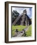 Turkeys at a Pyramid in the Mayan Ruins of Tikal, UNESCO World Heritage Site, Guatemala-Christian Kober-Framed Photographic Print