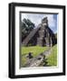 Turkeys at a Pyramid in the Mayan Ruins of Tikal, UNESCO World Heritage Site, Guatemala-Christian Kober-Framed Photographic Print