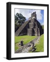 Turkeys at a Pyramid in the Mayan Ruins of Tikal, UNESCO World Heritage Site, Guatemala-Christian Kober-Framed Photographic Print