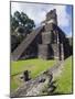 Turkeys at a Pyramid in the Mayan Ruins of Tikal, UNESCO World Heritage Site, Guatemala-Christian Kober-Mounted Photographic Print