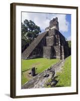 Turkeys at a Pyramid in the Mayan Ruins of Tikal, UNESCO World Heritage Site, Guatemala-Christian Kober-Framed Photographic Print