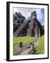 Turkeys at a Pyramid in the Mayan Ruins of Tikal, UNESCO World Heritage Site, Guatemala-Christian Kober-Framed Photographic Print