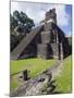 Turkeys at a Pyramid in the Mayan Ruins of Tikal, UNESCO World Heritage Site, Guatemala-Christian Kober-Mounted Photographic Print