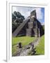 Turkeys at a Pyramid in the Mayan Ruins of Tikal, UNESCO World Heritage Site, Guatemala-Christian Kober-Framed Photographic Print